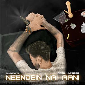 Neendein Nai Aani