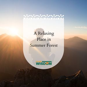 Woodland Forest Night Camp