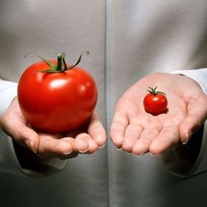 真紅のトマトジュース (Crimson Tomato Juice Food Music)