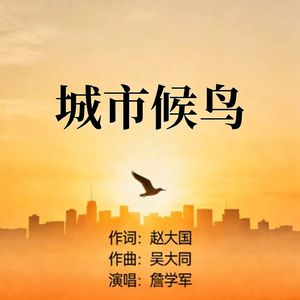 城市候鸟