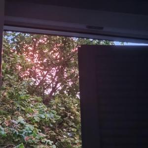 onze11 redis redira, pour l'immédiat, je rougis et saute de joie.mp3