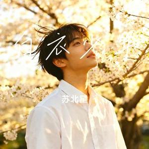 白衣少年 (Cover SING 许诗茵)