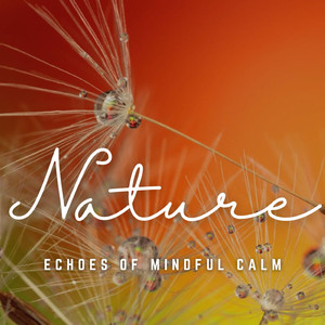 Mindful Reverie Unveiled