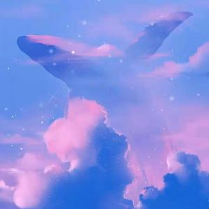 送给天空的情书