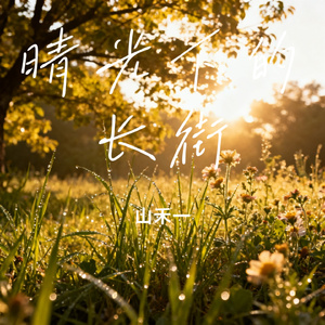 晴光下的长街