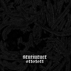 sentinence 01101011