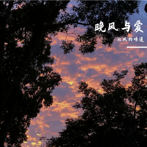 晚风与爱