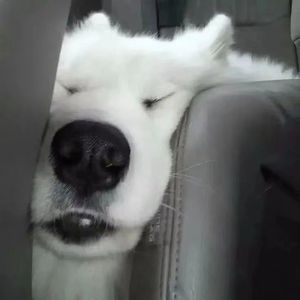 阳光开朗大男孩