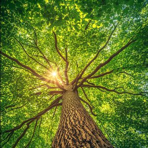 小时候的梦想（纯音乐）