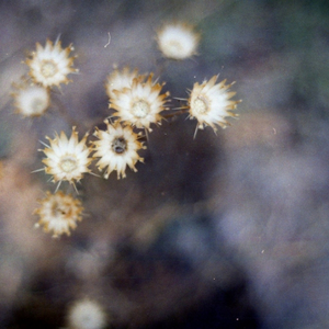 Chasing The Dragon (r.roo remix)