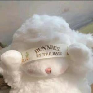 卢广仲-Melody Remix(Remix)