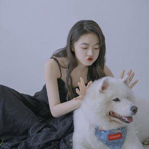 告五人-网易云音乐人