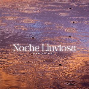 Noche Lluviosa