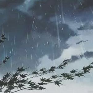 The rain on my wings