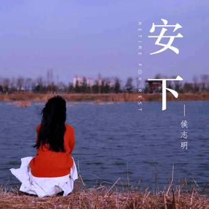 再也不去白鹿原