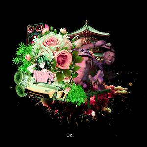 U.Z.I.