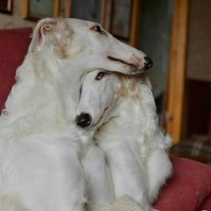 Therefore You and Me