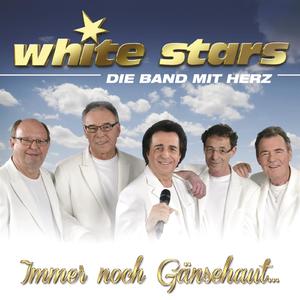 Immer noch Gänsehaut (Radio Version)