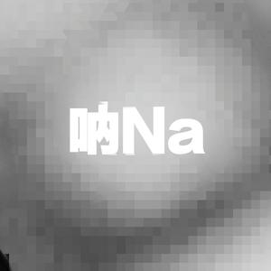 呐NA