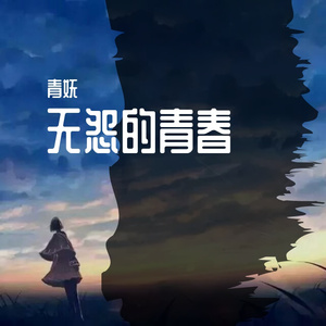 无怨的青春
