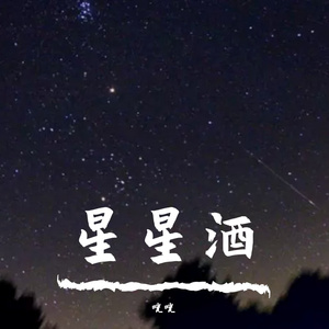 星星酒