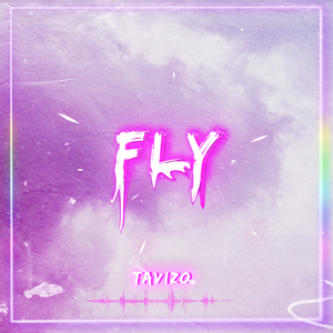 Fly