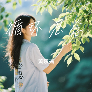 循环思念