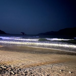 神秘大海-音频1.wav