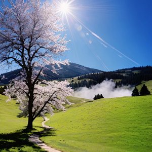 风没吹过你没来过（翻自 舒岩）