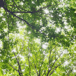 窗 (feat. iMmmmiLk) (Demo)