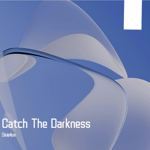 CatchTheDarkness