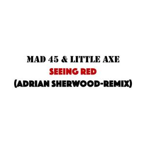 Seeing Red (feat. Little Axe) (Adrian Sherwood Remix)