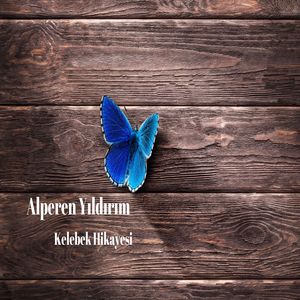 Kelebek Hikayesi