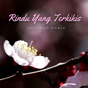Rindu Yang Terkikis