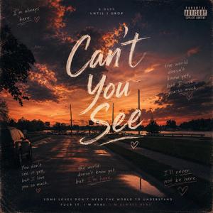 Can't You See