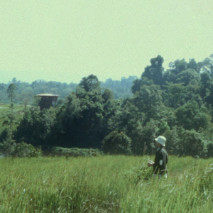 จับมือฉันในวันที่โลกแตกสลาย