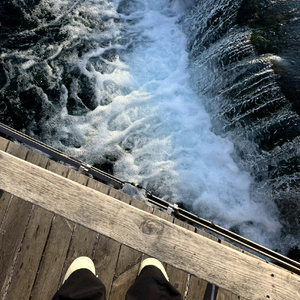 穿梭在海岸 ft.罗言