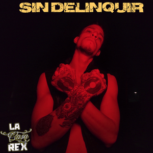 Sin Delinquir