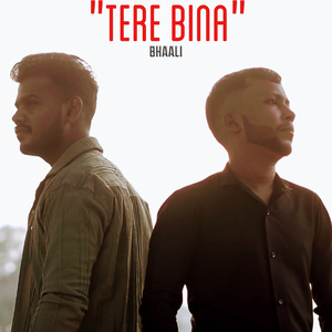 Tere Bina