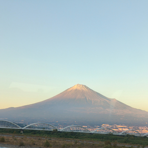 森の癒し人〜祈祷1〜