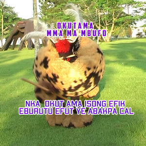 Nnabo Okut Ama