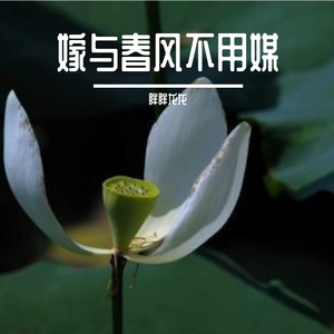 春风不用媒19