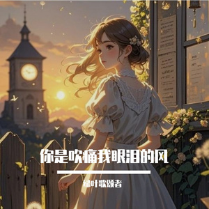 你是吹痛我眼睛的风
