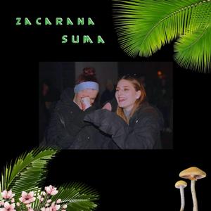 Začarana Šuma (feat. Deja)