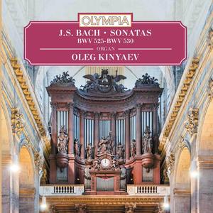 Sonata No.4 in E Minor, BWV 528: Andante