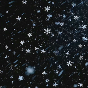 试用_20260214_160317_0