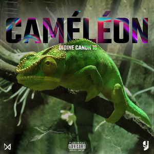 CAMELEON