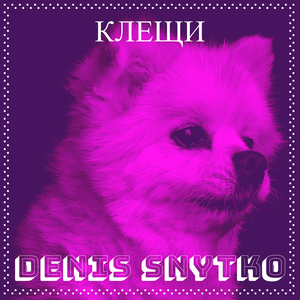 Клещи