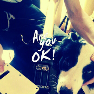 【电吉他】《青鸟》