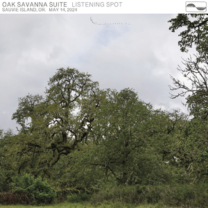 Part 9, Afternoonish